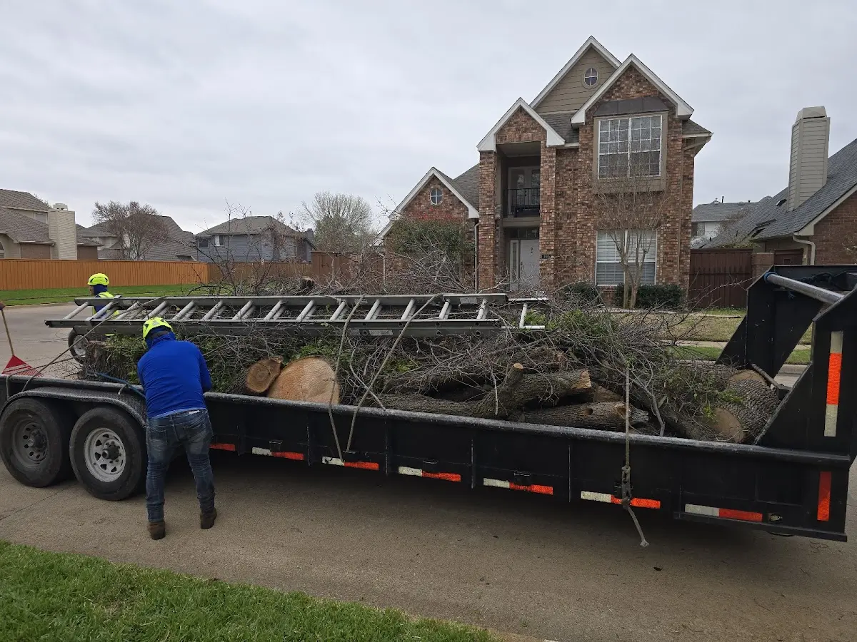 Expert Tree Pest Control with proper safety equipment in Trezevant